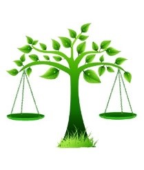 legislatia privind fondul de mediu