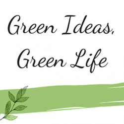 12 ACTIUNI POZA 2 12 ACTIUNI POZA 2