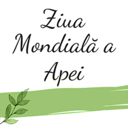 13 ACTIUNI POZA 3 13 ACTIUNI POZA 3