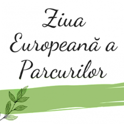 16 ACTIUNI POZA 6 16 ACTIUNI POZA 6