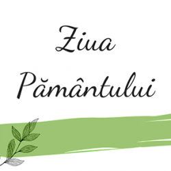 17 ACTIUNI POZA 7 17 ACTIUNI POZA 7